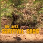 the best survival show